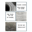 Modern Non-Slip Water Absorbent Velvet Floor Mat / Ruchi