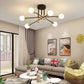 Antique Flush Mount Style Chandelier Ceiling Lamp / Ruchi
