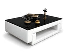 Black Glass Top Leather Coffee Table / Ruchi