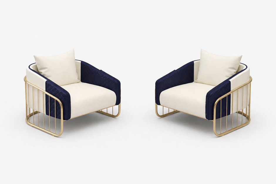 2 Piece Leather Accent Chairs For Living Room / Ruchi 