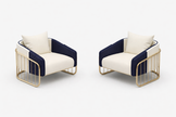 2 Piece Leather Accent Chairs For Living Room / Ruchi 