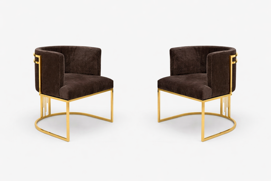 2 Piece Modern Velvet Accent Chairs / Ruchi