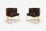 2 Piece Modern Velvet Accent Chairs / Ruchi