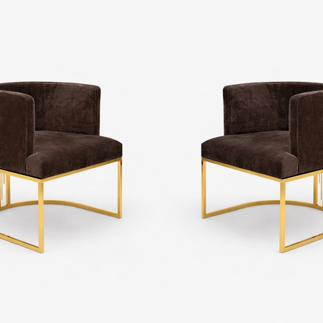 2 Piece Modern Velvet Accent Chairs / Ruchi