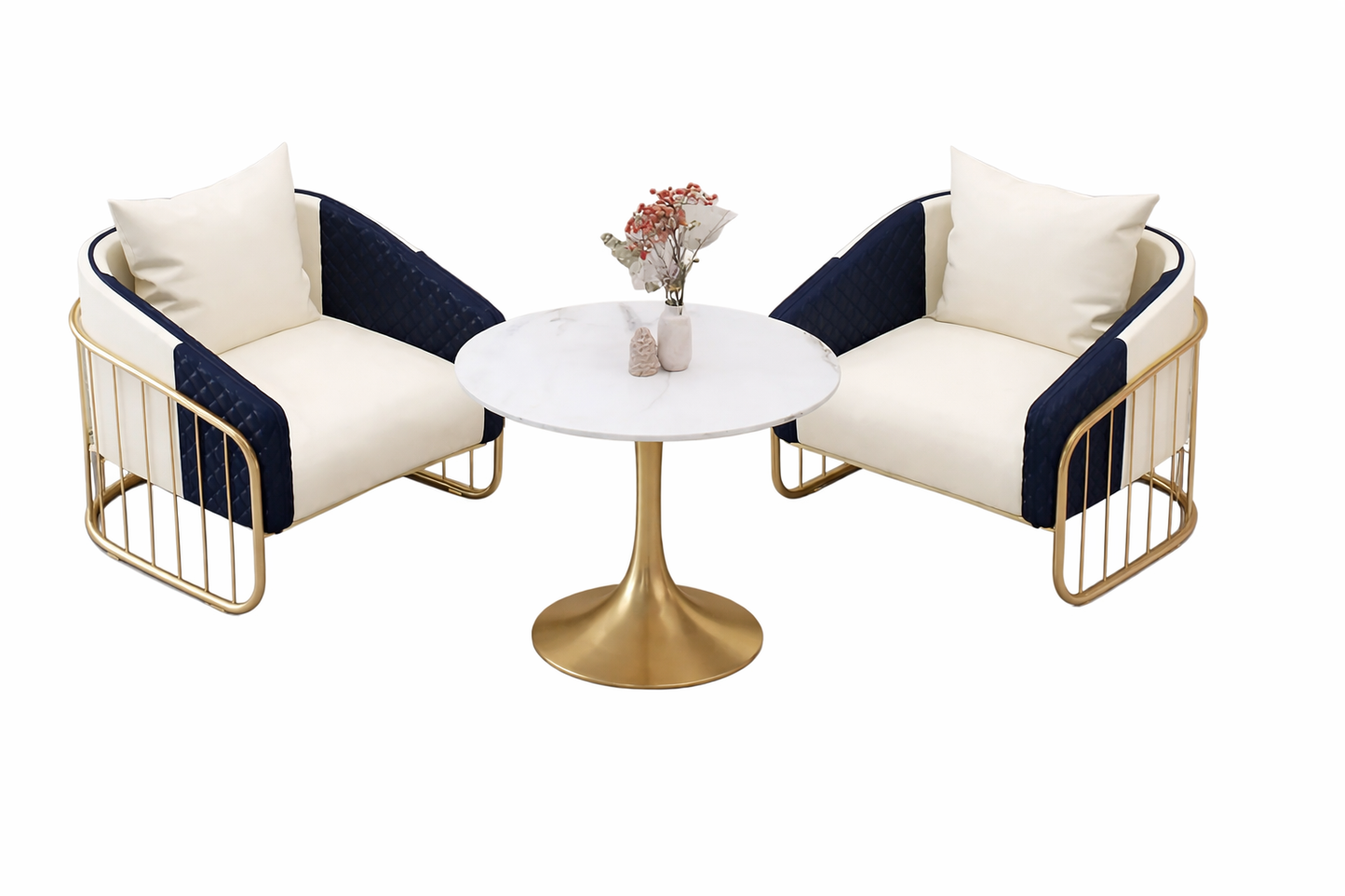 2 Piece Leather Accent Chairs For Living Room / Ruchi 