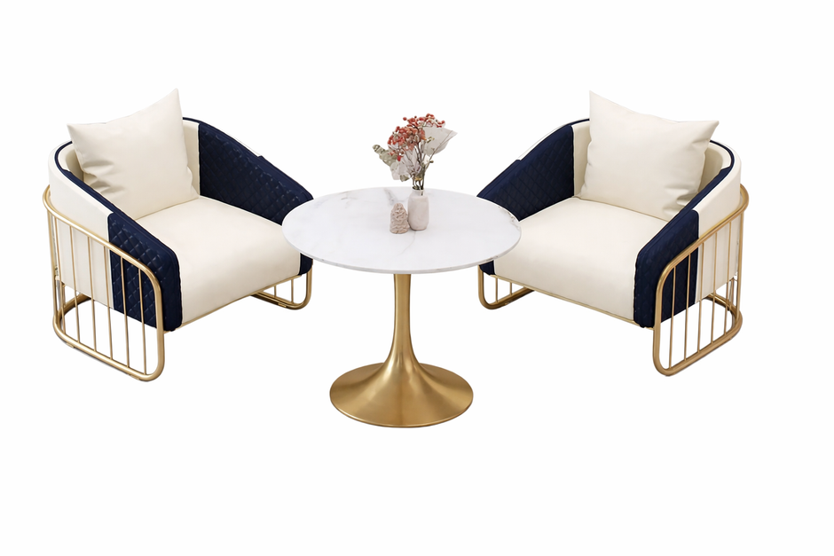 2 Piece Leather Accent Chairs For Living Room / Ruchi 
