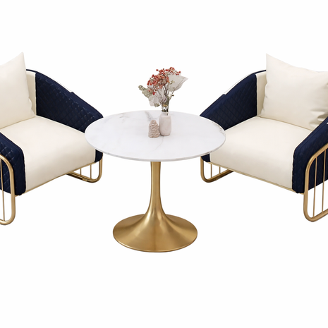 2 Piece Leather Accent Chairs For Living Room / Ruchi 