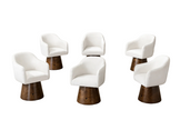 6 Piece Chenille Fabric Wooden Chairs Set / Ruchi