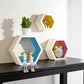 Multicolored Hexagonal Wooden Wall Shelf / Ruchi
