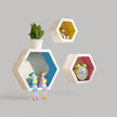 Multicolored Hexagonal Wooden Wall Shelf / Ruchi