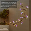 Remote Control Butterfly USB Wall Light /  Ruchi 