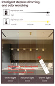 Modern Minimalist LED Linear Pendant Light Chandelier / Ruchi