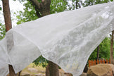 Elegant Floral Design Lace Sheer Polyester Curtain / Ruchi