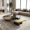 Contemporary Marble And Metal Coffee Table Set / Ruchi