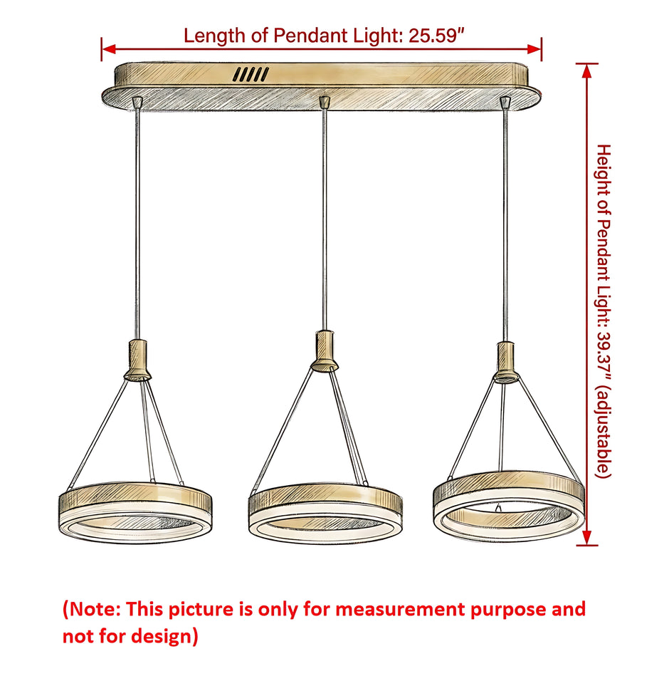 LED Remote Control Pendant Light Fixture / Ruchi