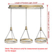 LED Remote Control Pendant Light Fixture / Ruchi