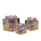 3 Pieces Transparent Christmas Cubical Metal Gift Box / Ruchi