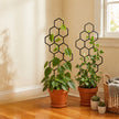Honeycomb Pattern Plastic Plant Trellis Pack Of 2 / Ruchi