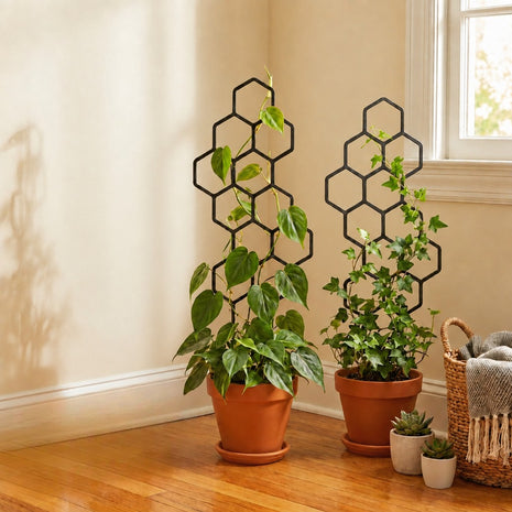 Honeycomb Pattern Plastic Plant Trellis Pack Of 2 / Ruchi