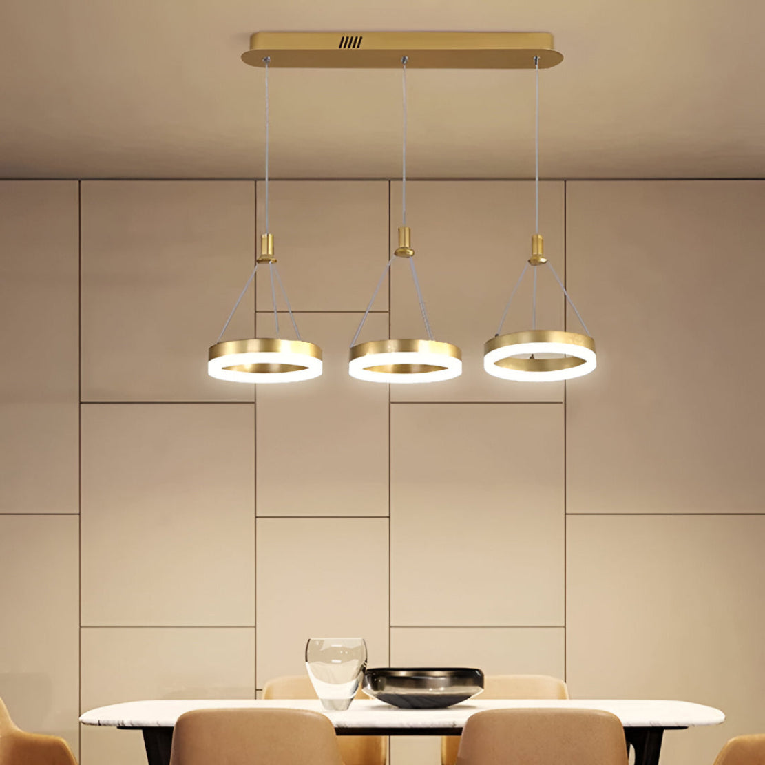 LED Remote Control Pendant Light Fixture / Ruchi