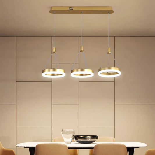 LED Remote Control Pendant Light Fixture / Ruchi