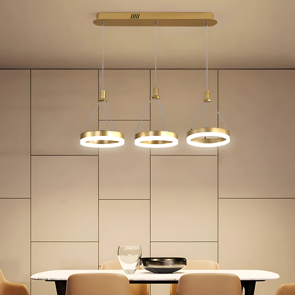 LED Remote Control Pendant Light Fixture / Ruchi