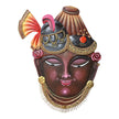 Metal Handcrafted Traditional Wall Hanging / Ruchi