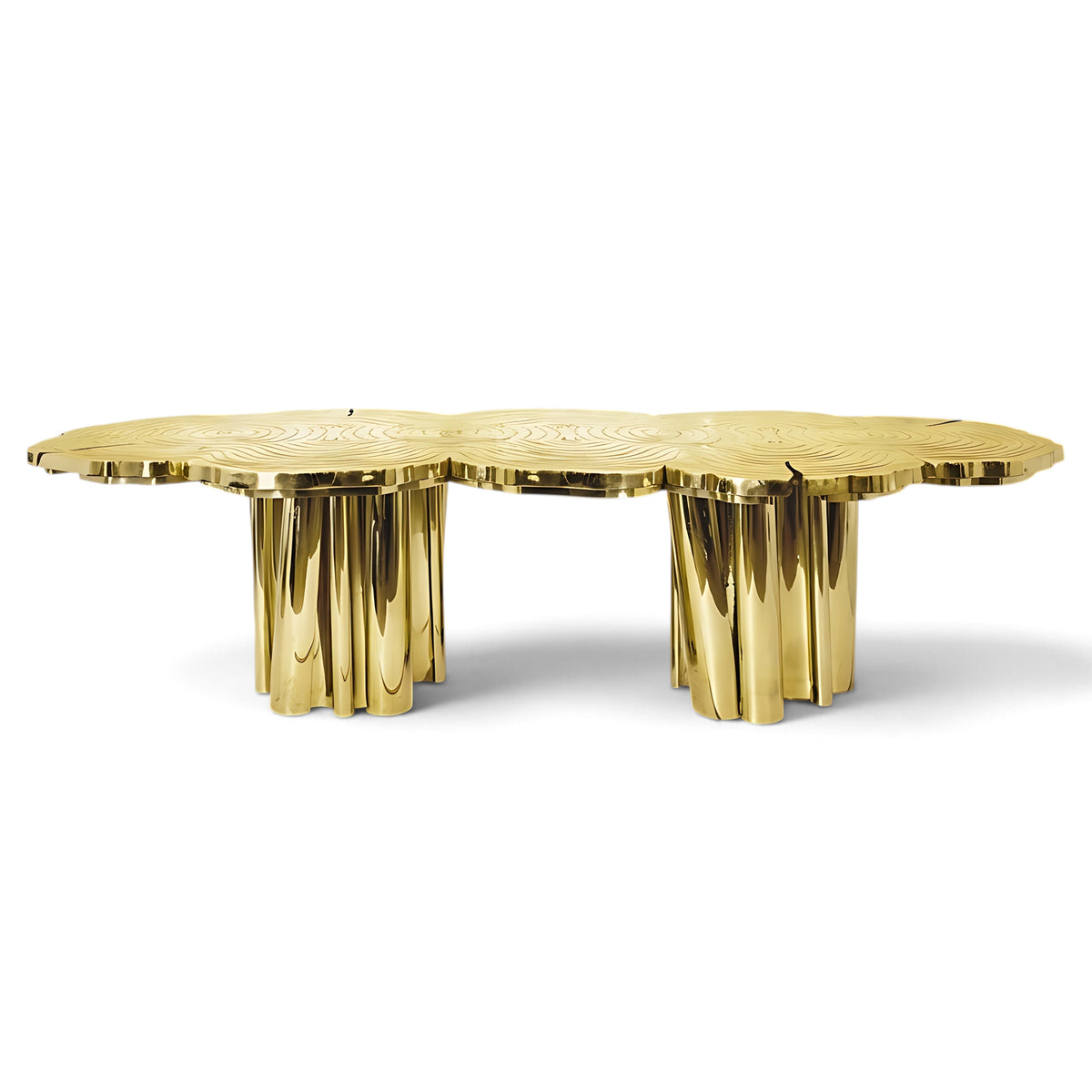 Modern Luxurious Metal Dining Table / Ruchi