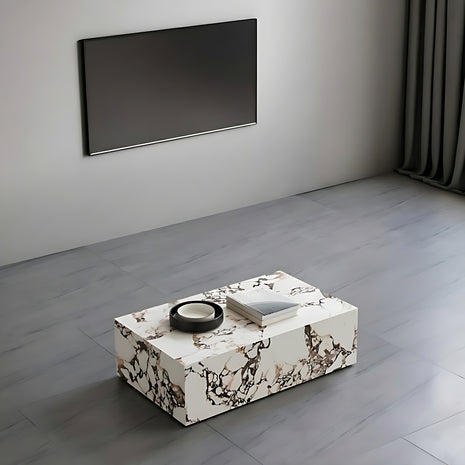 Modern Rectangular Marble Coffee Table / Ruchi