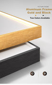 Entrance LED Painting Wall Lamp / Ruchi