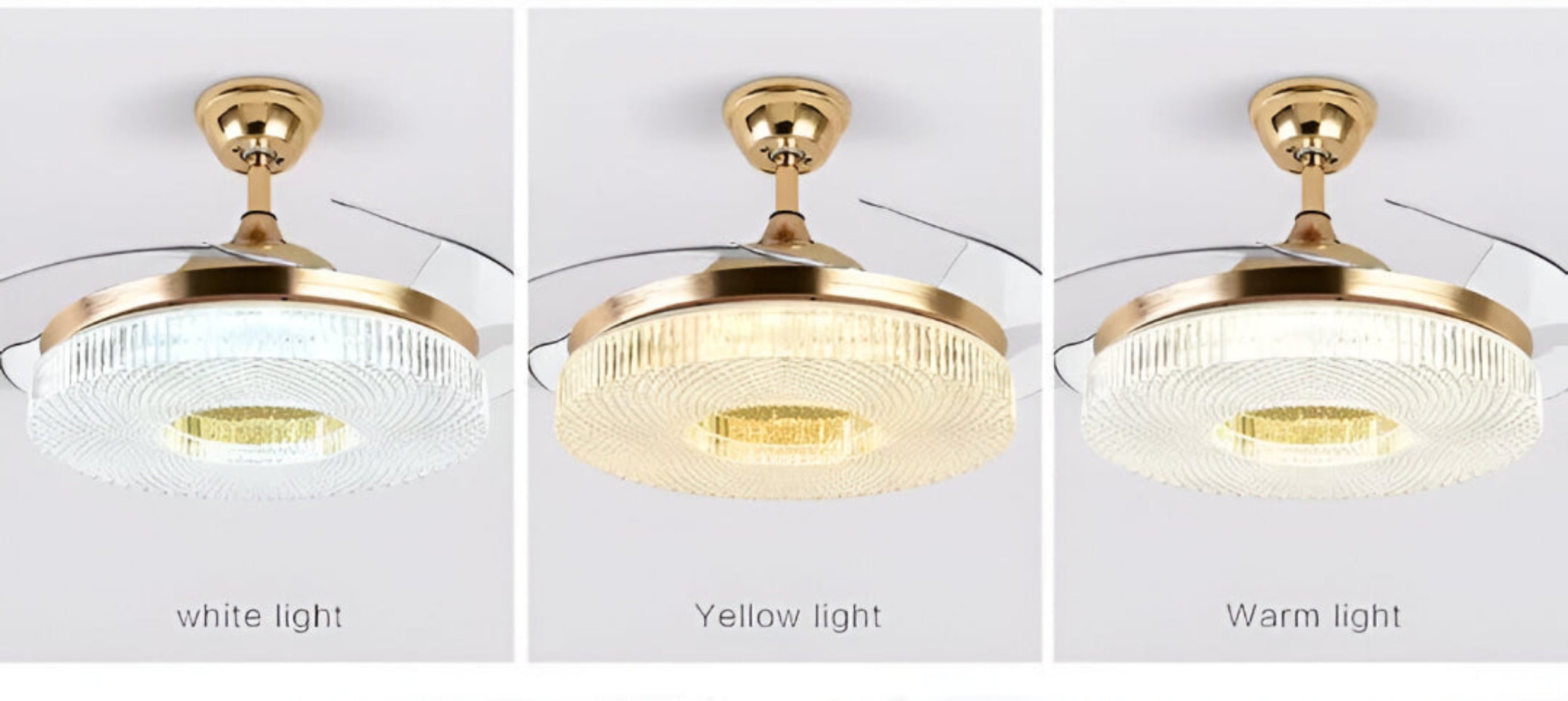 Modern Remote Control LED Ceiling Fan Light