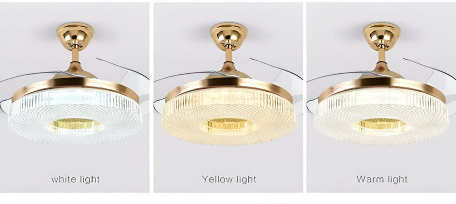 Modern Remote Control LED Ceiling Fan Light