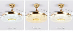 Modern Remote Control LED Ceiling Fan Light