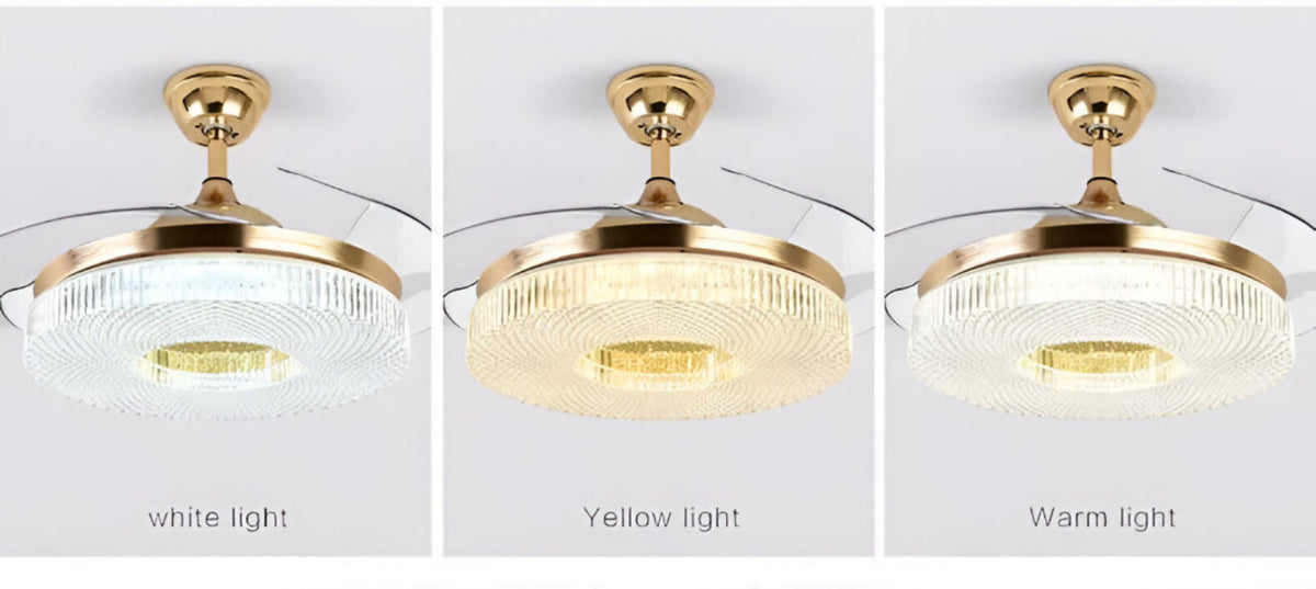 Modern Remote Control LED Ceiling Fan Light / Ruchi