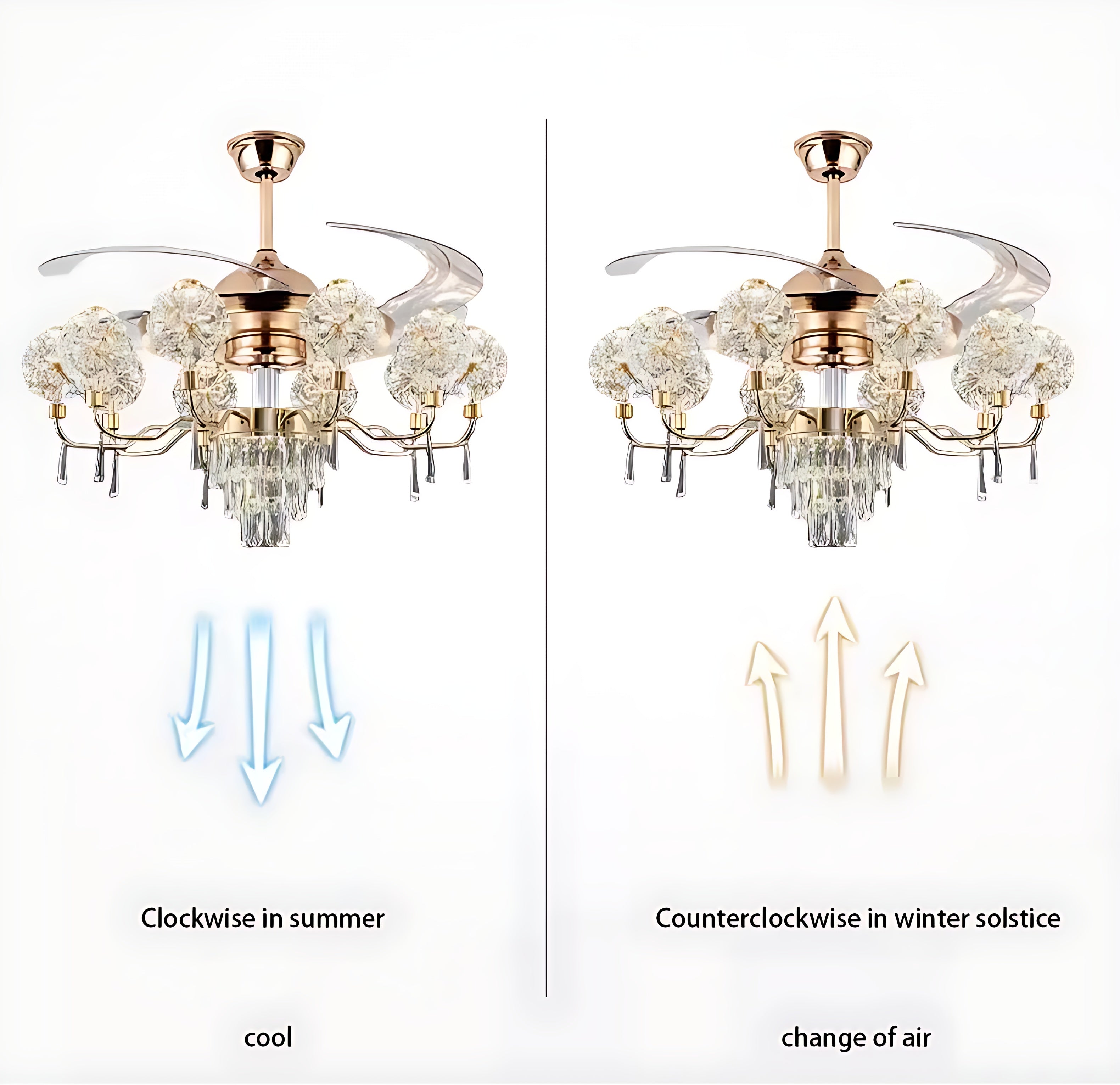 Remote Control LED Chandelier Fan For Living Room / Ruchi