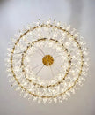 Luxury LED Crystal Chandelier Lamp / Ruchi