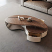 Modern Wooden Coffee Table / Ruchi