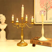 European Style Metal Candlestick Candle Holder / Ruchi