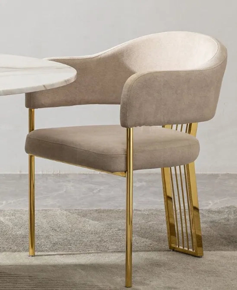 Glass Top Dining Table Set With 6 Chairs / Ruchi 