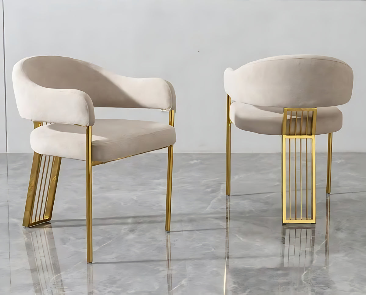 Glass Top Dining Table Set With 6 Chairs / Ruchi