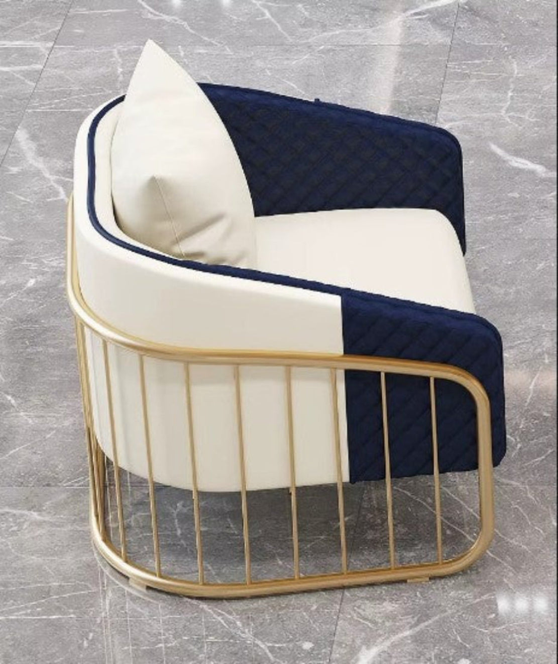 2 Piece Leather Accent Chairs For Living Room / Ruchi 