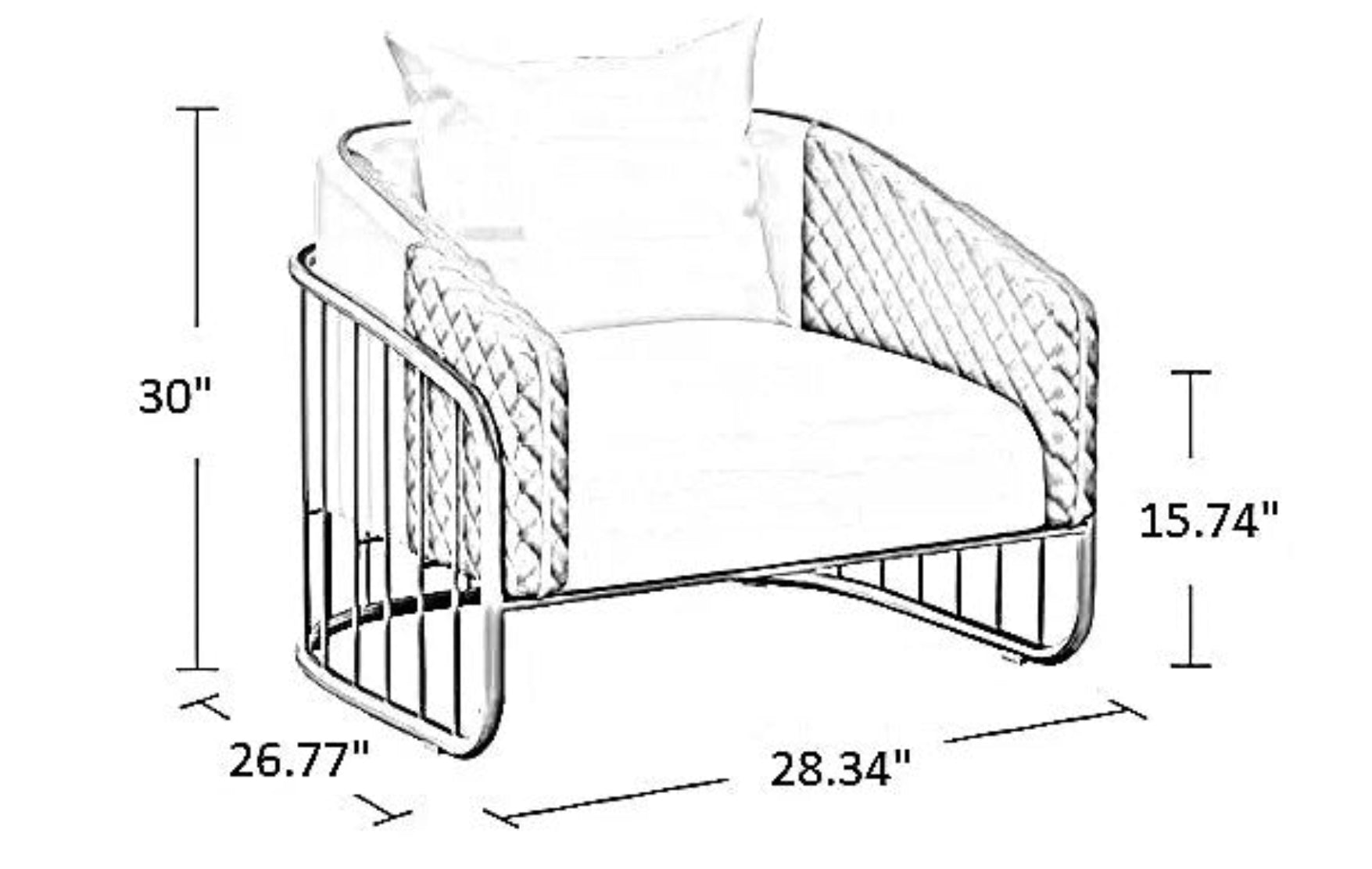 2 Piece Leather Accent Chairs For Living Room / Ruchi 