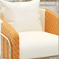 2 Piece Leather Accent Chairs For Living Room / Ruchi 