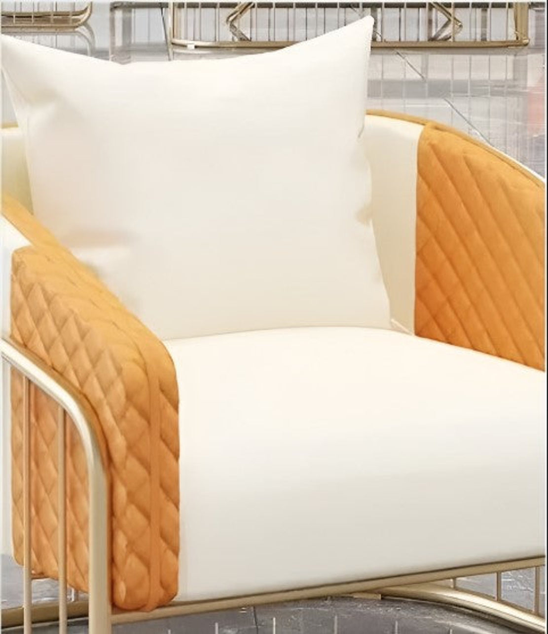 2 Piece Leather Accent Chairs For Living Room / Ruchi 