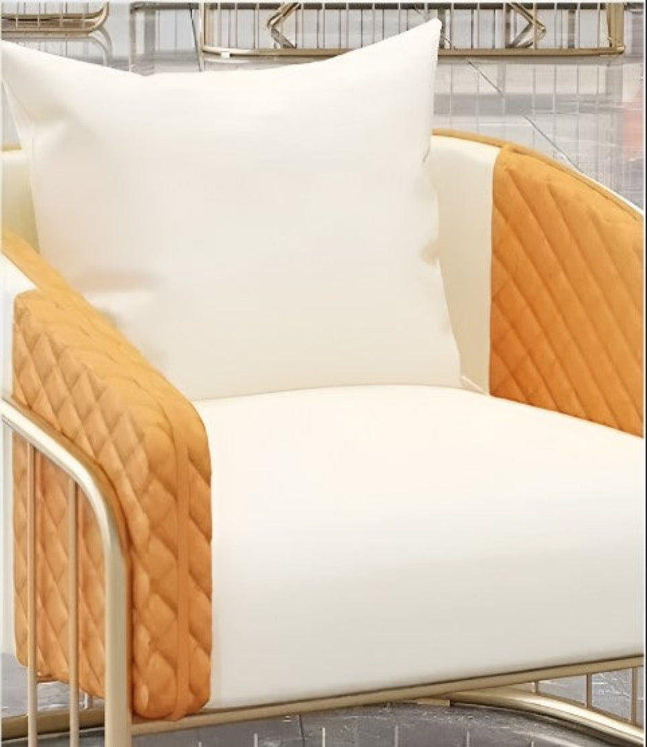 2 Piece Leather Accent Chairs For Living Room / Ruchi 