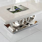 Modern Marble Rectangular Coffee Table / Ruchi