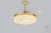 Modern Remote Control LED Ceiling Fan Light / Ruchi