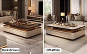 Modern Wood Table Top Coffee Table / Ruchi