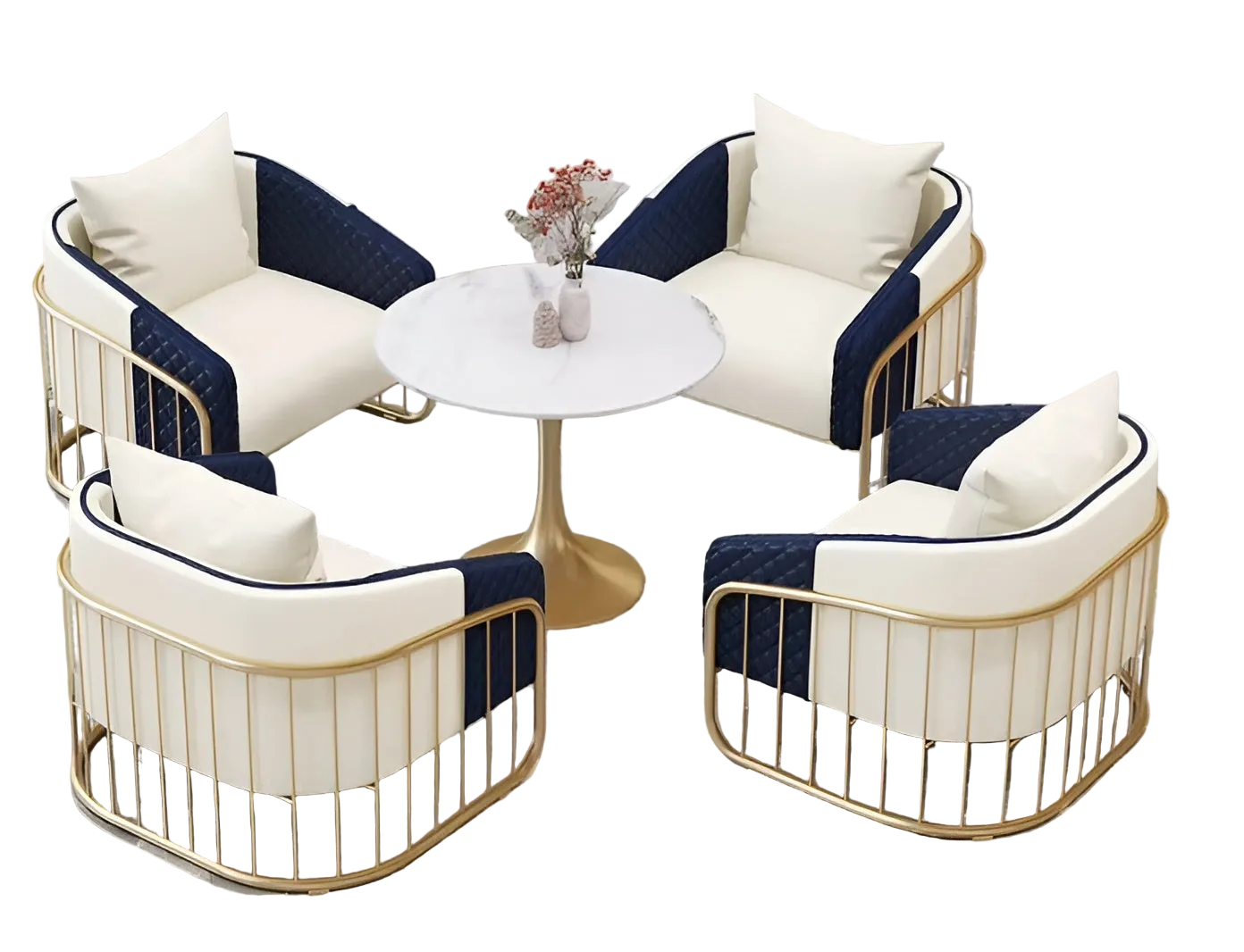 2 Piece Leather Accent Chairs For Living Room / Ruchi 