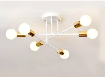 Modern Semi Flush Mount Ceiling Lights / Ruchi